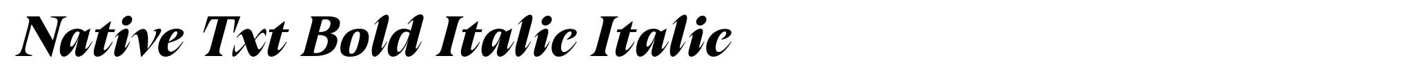 Native Txt Bold Italic Italic image